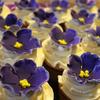Lemon Cupcakes topped with handmade African Violets
